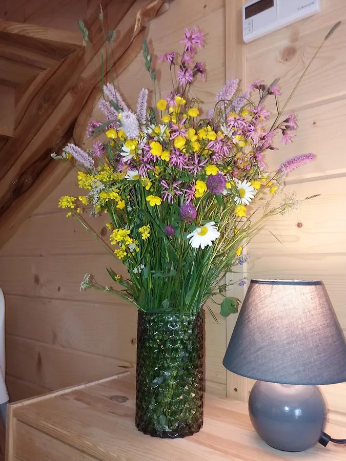 Sebahouse Villa Zakopane
